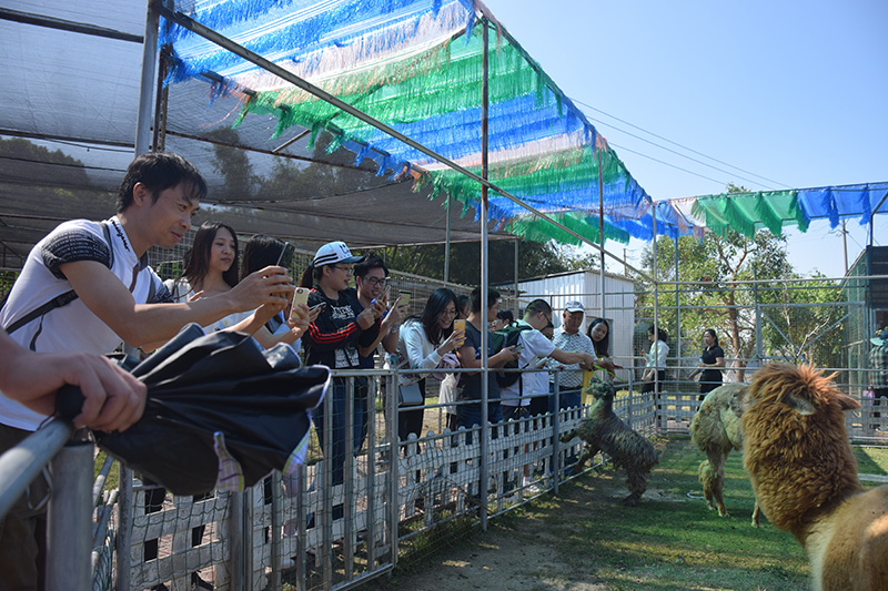 6686体育园区党委举办了以“不忘初心·牢记使命”为主题的主题党日活动